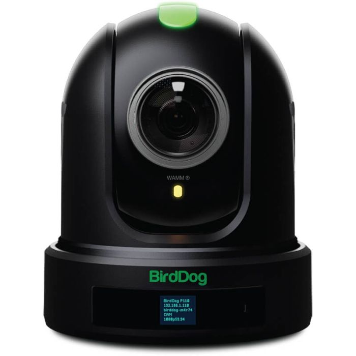 BirdDog P110 - Full NDI®, SDI, 10x Optical Zoom